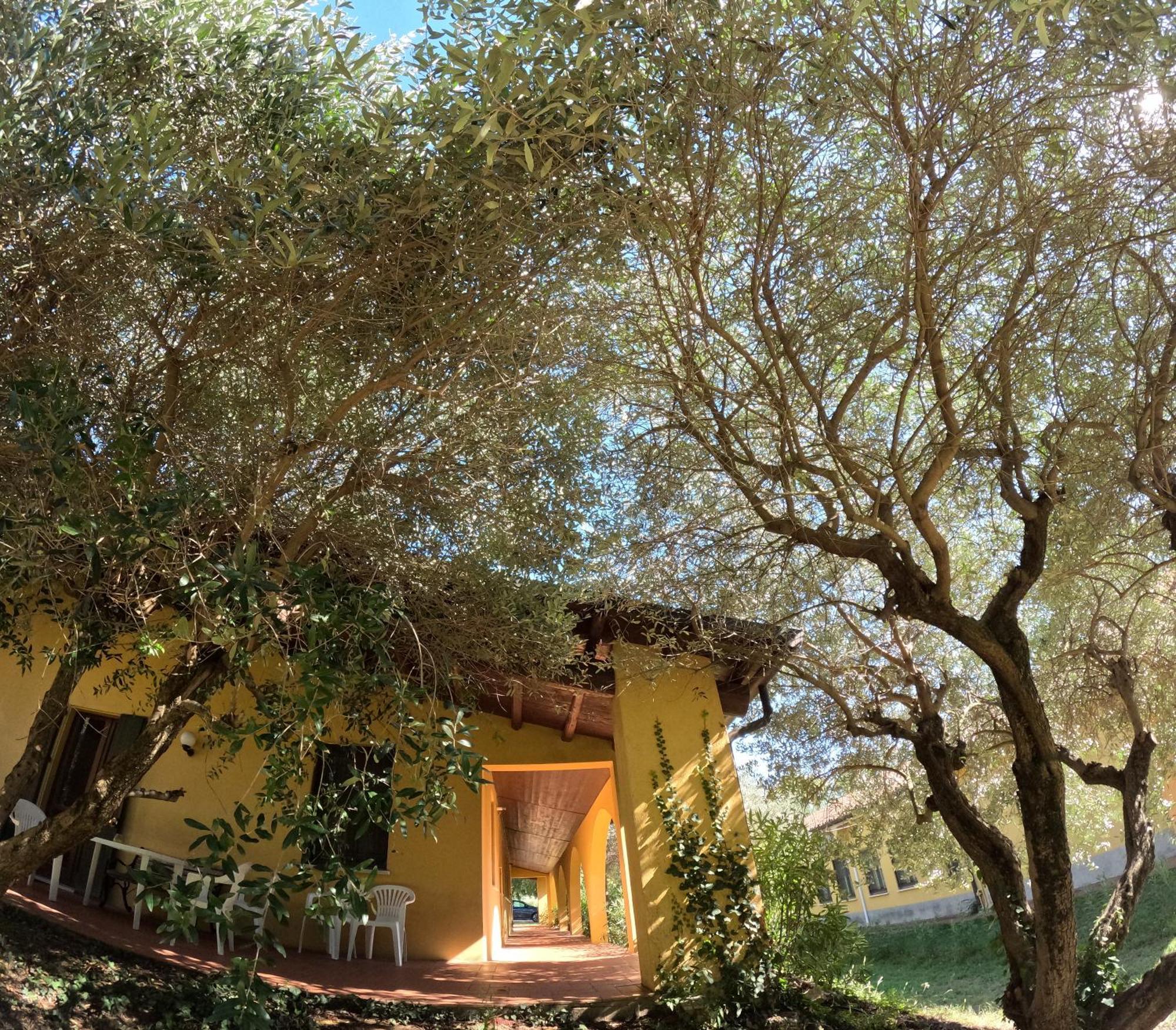Agriturismo Gardenali Volta Mantovana Exterior photo